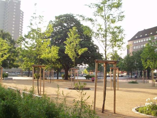 Foto: Kastanie auf dem Platz am Kchengarten